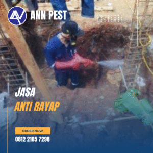 Jasa Anti Rayap Profesional
