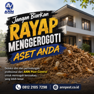 Jasa Anti Rayap Bandung