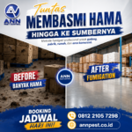 Jasa Fumigasi Container Bekasi