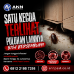 Jasa Pembasmi Kecoa Terdekat